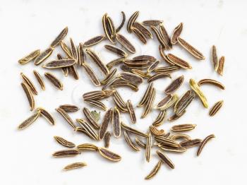 several kala zeera (Elwendia persica) seeds close up on gray ceramic plate