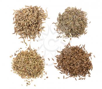 top view of various caraway like seeds (cumin, black caraway, caraway, ajowan caraway) on white background