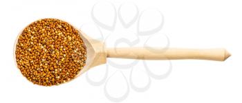 top view of wood spoon with unhulled proso millet grains isolated on white background