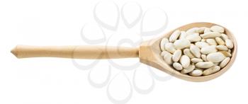 wooden spoon with uncooked white beans isolated on white background