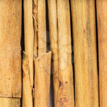 square food background - several sticks of alba premium ceylon cinnamon close up