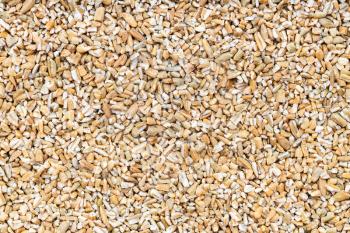 food background - crushed rye groats grains close up