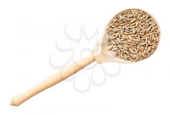 top view of whole rye grains in wood spoon isolated on white background