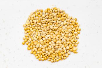top view of pile of unpolished yellow proso millet close up on gray ceramic plate