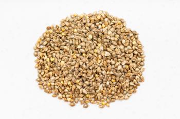 top view of pile of whole-grain barnyard millet seeds close up on gray ceramic plate