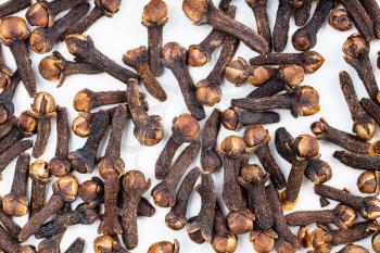 food background - many whole dried cloves