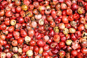 food background - many pink peppercorns (Baie rose)