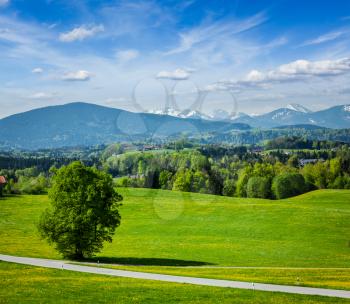 Road in pastoral german countryside with Bavarian Alps in background in summer