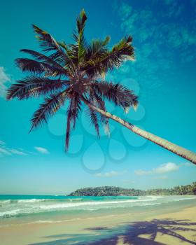 Vintage retro hipster style travel image of tropical paradise idyllic beach with palm. Sri Lanka