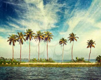 Vintage retro hipster style travel image of palms at Kerala backwaters with grunge texture overlaid. Kerala, India
