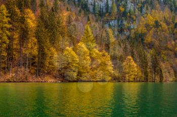 Autumn forest trees reflecting in lake. Königssee, Bavaria, Germany