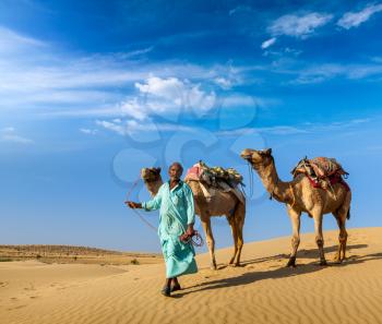 Rajasthan travel background - Indian cameleer (camel driver) with camels in dunes of Thar desert. Jaisalmer, Rajasthan, India