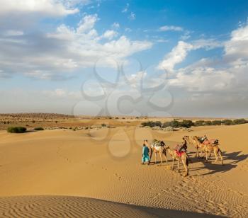 Rajasthan travel background - two Indian cameleers (camel drivers) with camels in dunes of Thar desert. Jaisalmer, Rajasthan, India