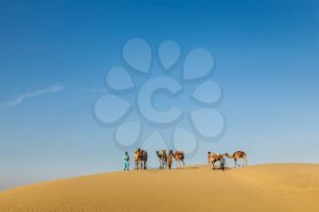 Rajasthan travel background - Three cameleers (camel drivers) with camels in dunes of Thar desert. Jaisalmer, Rajasthan, India