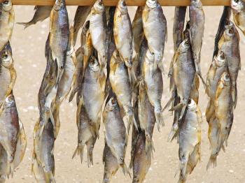 Dried fishes for sale on a summer beach taken closeup.