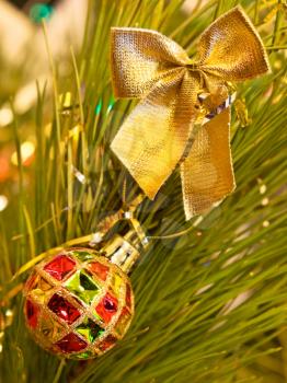 Christmas ball on a green pine branch.