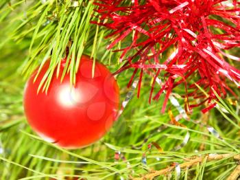 Red Christmas ball on a green pine branch taken closeup.