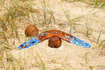 Boomerang and two coconuts on overgrown sandy dune.