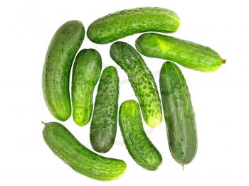 Green cucumbers  isolated  on a white background.