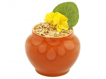 Clay pot with oats grain and decorative yellow flower isolated on white background.