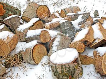 Pile of frozen logs covered with snow.
