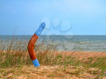 Boomerang on overgrown sandy beach against blue sea and sky.