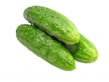 Three green cucumbers taken closeup isolated on white background.