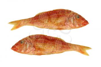 Two dried goatfish isolated on a white background.