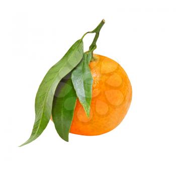 Fresh tangerine with three green leafes isolated on white background.