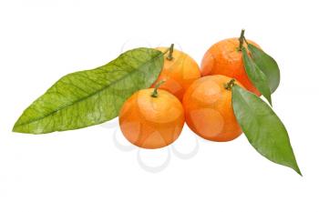 Four tangerines with green leafes isolated on white background.