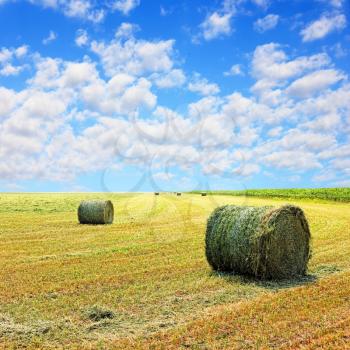 Golden stubble field and hay bales against blue cloudy sky.