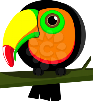 Parrot. Toucan