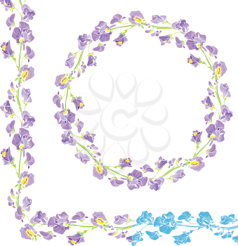 Set of ornaments - decorative hand drawn floral border and round frame with  sweet pea flowers, isolated on white background.