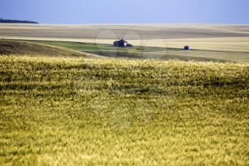 Abandoned Farm Saskatchewan crop in the hills