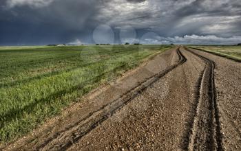 Mud Tire Tracks after a storm in the Canadian Prairies