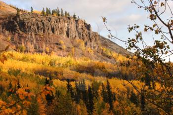 Autumn colored trees on mountain slope in British Columbia