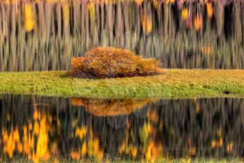 Water reflections in autumn