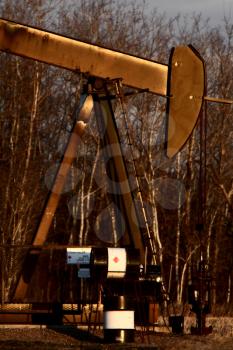 Oil pump near trees in Saskatchewan