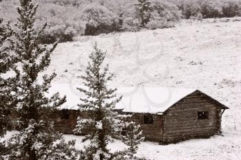 Abandoned ranch house in winter in the Cypress Hills