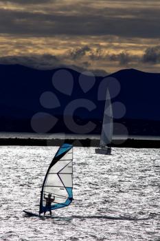 Sailboard wind surfer Nelson New Zealand windy day