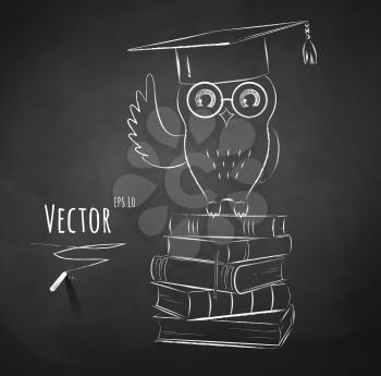 Owl sitting on books. Chalkboard drawing. Vector illustration.