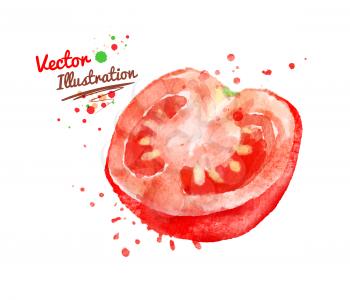 Watercolor vector drawing of half of tomato with paint splashes.