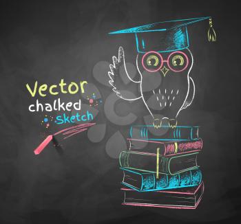 Vector color chalk drawing of owl sitting on books.