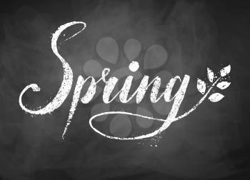 Spring word grunge hand drawn chalked vector lettering on black chalkboard background  with tree branch and leaves.