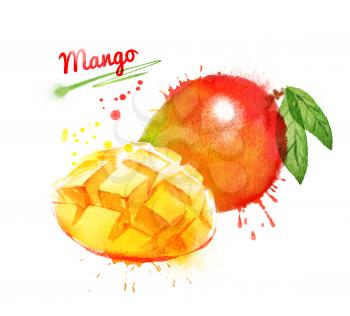 Watercolor illustration of mango, whole and sliced with leaf and paint smudges and splashes.