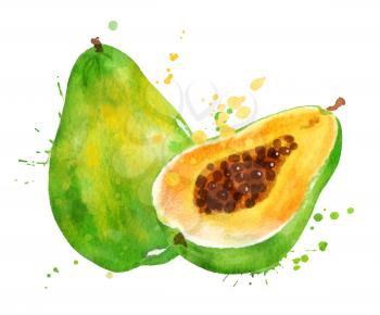 Watercolor isolated vector illustration of papaya, whole, half and sliced with paint smudges and splashes.