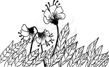 hand drawn, cartoon, sketch illustration of ornamental plants