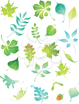Hand-drawn nature elements for your design isolated on white background.