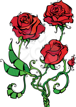 Three red roses isolated on white background. Patterns, black outline, coloured elements are on separate layers. For your Valentine's or wedding design. 