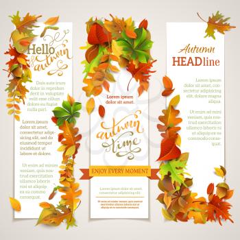 Three vector templates. Bright autumn maple, oak, birch, elm, rowan, chestnut, aspen leaves and acorn. Hand-lettering elements. There are places for your text on white area. 